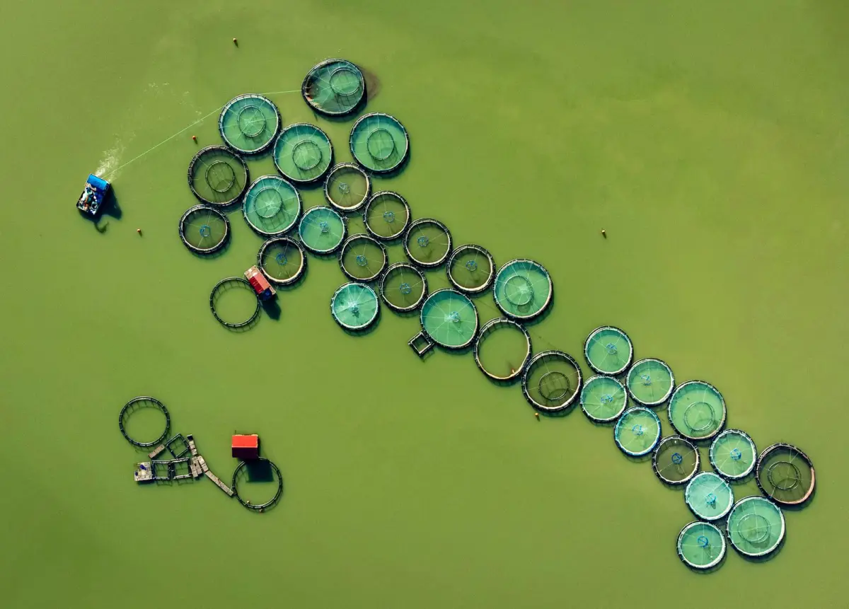 Aerial view of circular fish-farm nets representing FRP agriculture, aquaculture and food-processing applications
