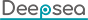 DeepSea Precision Tech (Shenzhen) Co., Ltd. logo
